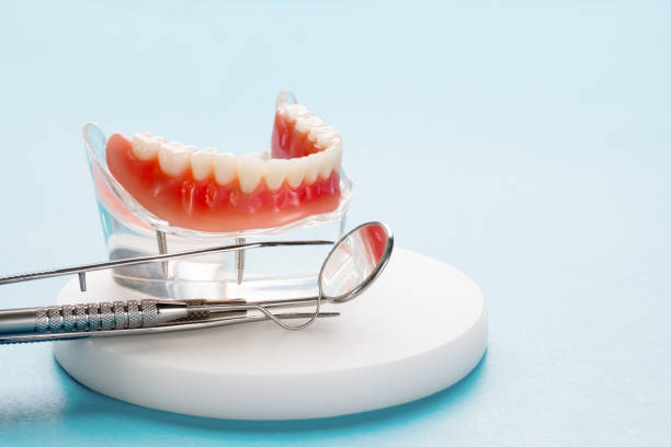 Best Dental Bonding  in Woodville, FL