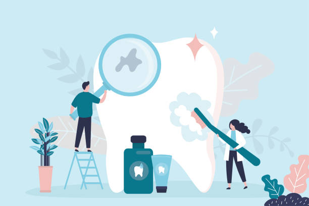 Dental X-Rays and Imaging in Woodville, FL